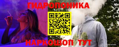 прущие грибы Севастополь