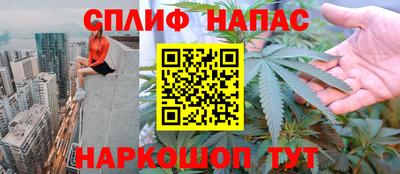 прущие грибы Севастополь