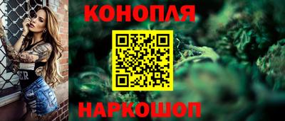 прущие грибы Севастополь