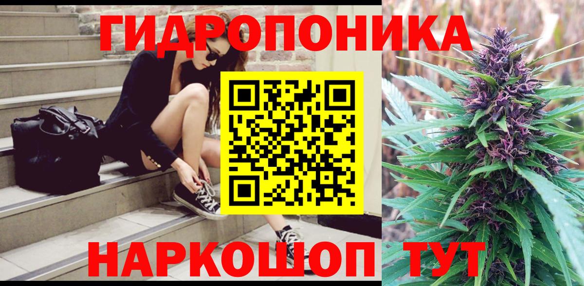 Галлюциногенные грибы Родники
